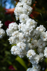 Similar image 21220518