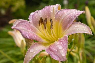 Similar image 21235693