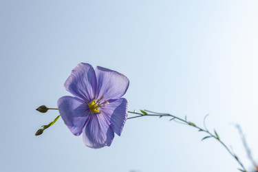 Similar image 21235696