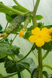 Similar image 21235697