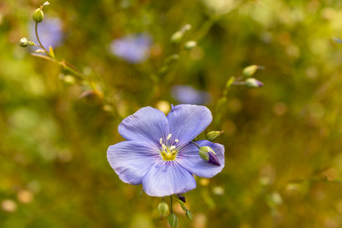 Similar image 21235698