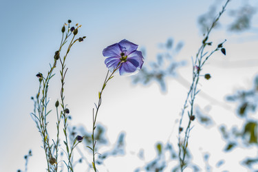 Similar image 21235699