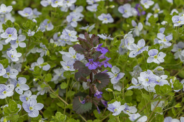 Similar image 21220519