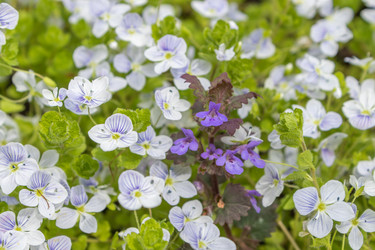 Similar image 21220520