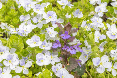 Similar image 21220521