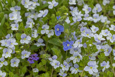 Similar image 21220522