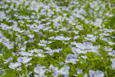 Similar image 21220523