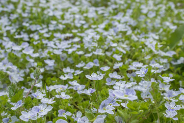 Similar image 21220524