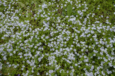 Similar image 21220525