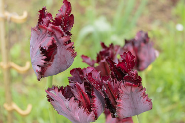 Similar image 21220528