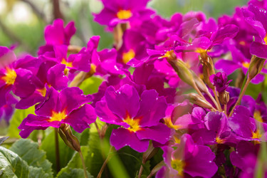 Similar image 21220529