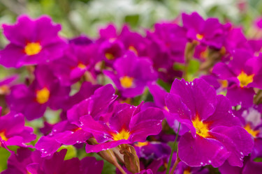 Similar image 21220530