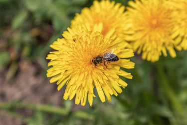 Similar image 21220531