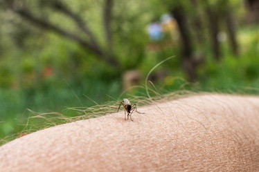 Similar image 21220534