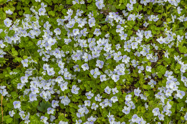 Similar image 21243212