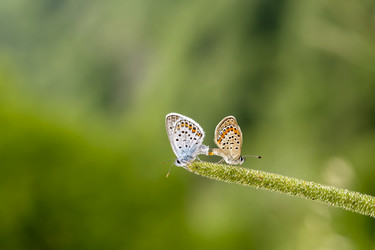 Similar image 21223181