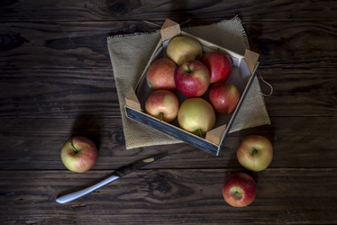 Similar image 21204441