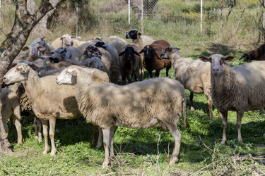 Similar image 21204443