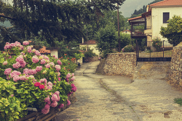 Similar image 21212146