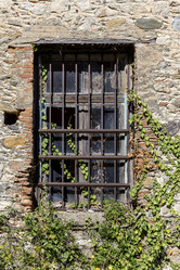 Similar image 21204471