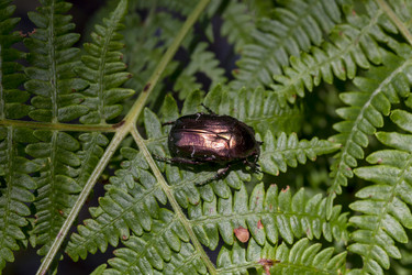 Similar image 21206113