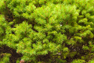 Similar image 21220553