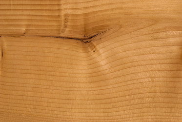 Similar image 21220554