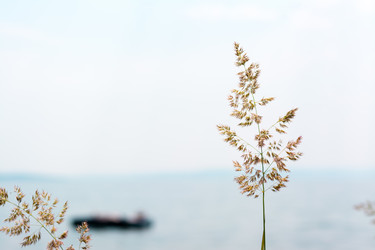 Similar image 21251115