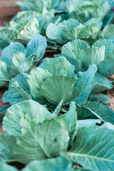 Similar image 21250992