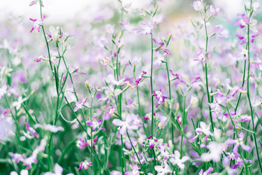 Similar image 21251058