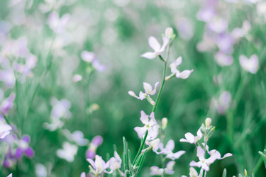 Similar image 21251117