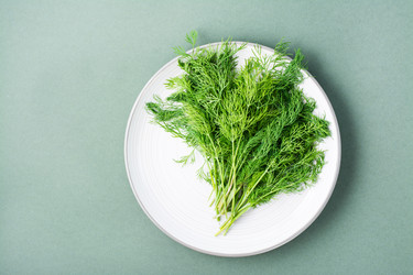 Similar image 21233108