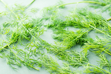 Similar image 21250998