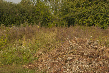 Similar image 21213287