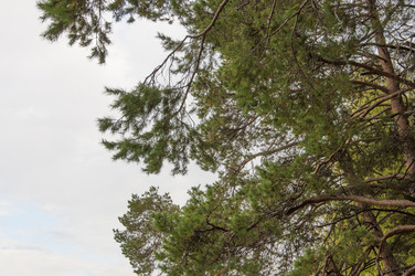 Similar image 21217420