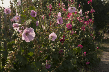 Similar image 21217423