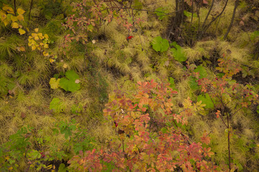 Similar image 21217424