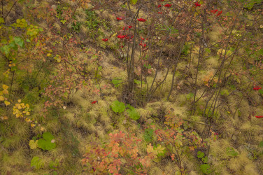 Similar image 21217426