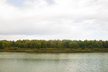 Similar image 21217432