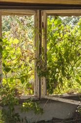 Similar image 21217435