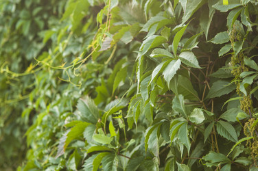 Similar image 21217441