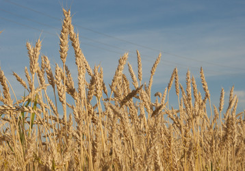 Similar image 21217446