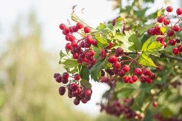 Similar image 21217447