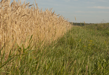 Similar image 21217448