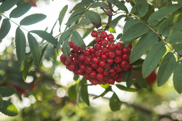 Similar image 21217449