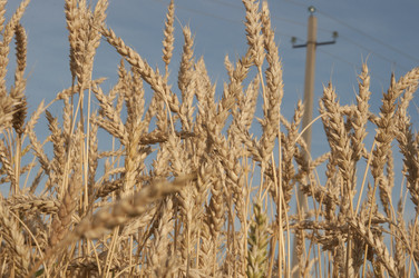 Similar image 21217454