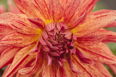 Similar image 21217455