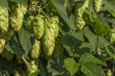 Similar image 21217458