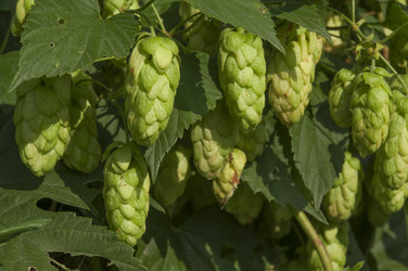 Similar image 21217459