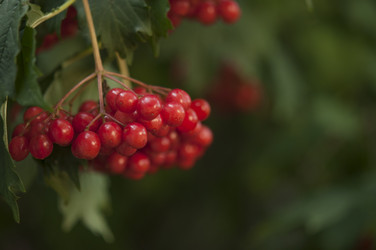 Similar image 21213266